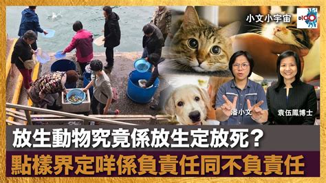 放生動物|放生與放死